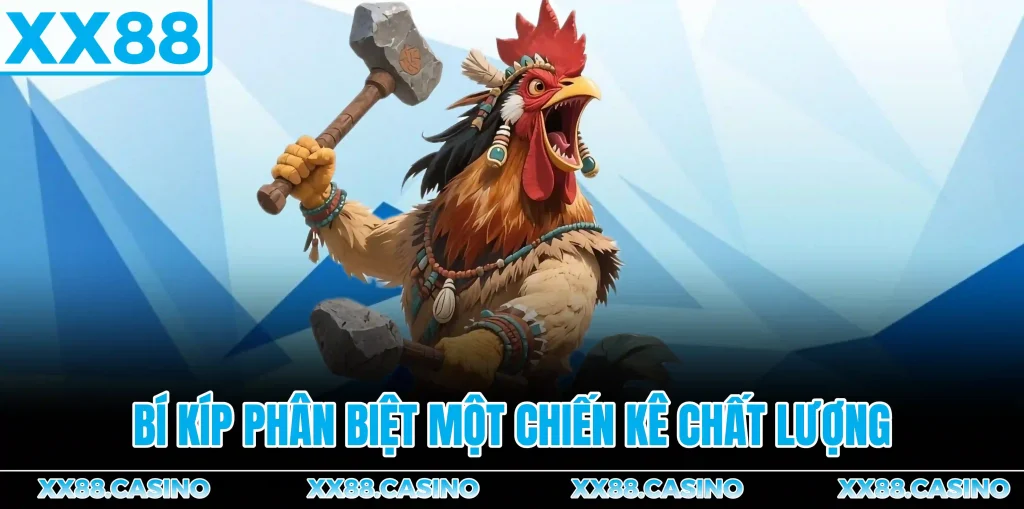 bi-kiep-phan-biet-chien-ke-chat-luong