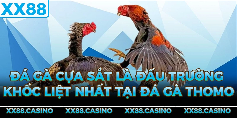 da-ga-cua-sat-la-dau-truong-khoc-liet-nhat-tai-da-ga-Thomo