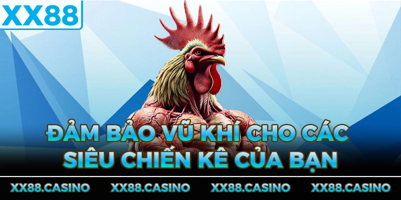 dam-bao-vu-khi-cho-cac-sieu-chien-ke-cua-ban