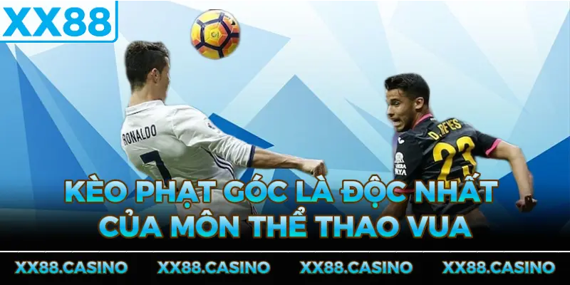 keo-phat-goc-la-doc-nhat-cua-mon-the-thao-vua