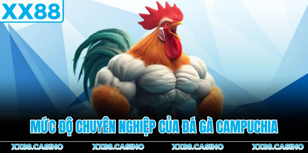 muc-do-chuyen-nghiep-cua-da-ga-campuchia