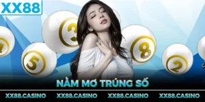 nam-mo-trung-so