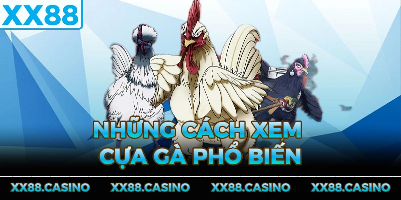 nhung-cach-xem-cua-ga-pho-bien